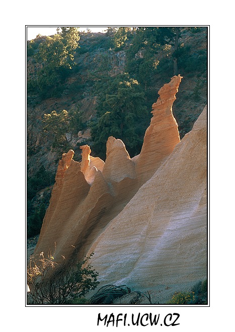 canaria06_05_21 .jpg